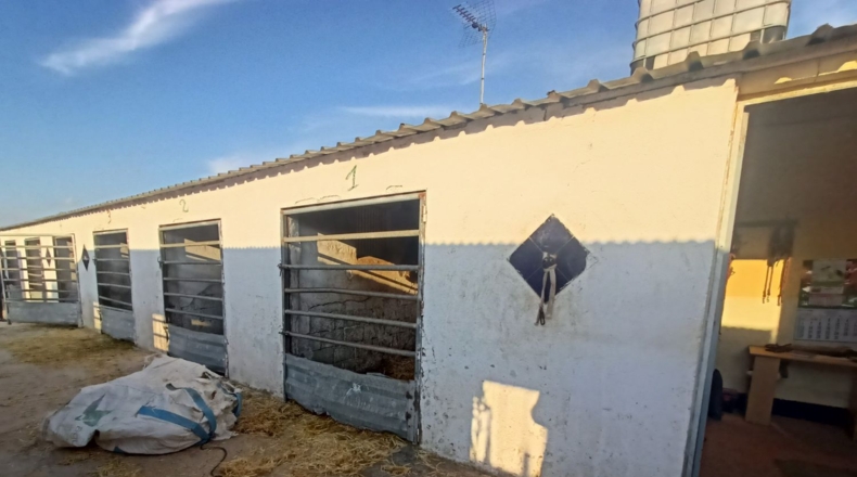 Murcia - Torre-Pacheco - 15052m2