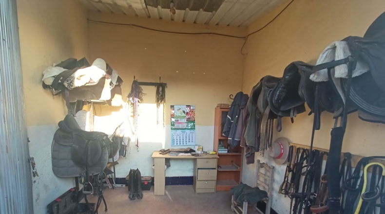 Murcia - Torre-Pacheco - 15052m2