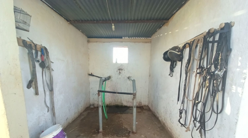Murcia - Torre-Pacheco - 15052m2