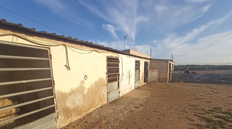 Murcia - Torre-Pacheco - 15052m2