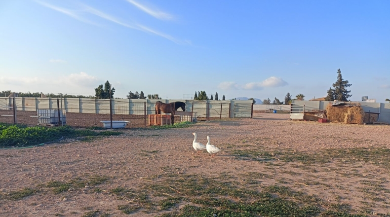 Murcia - Torre-Pacheco - 15052m2