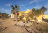 Rural estate for sale in Torre-Pacheco ref: TR281199 photo