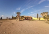Rural estate for sale in Torre-Pacheco ref: TR281199 photo