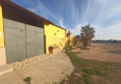 Rural estate for sale in Torre-Pacheco ref: TR281199 photo