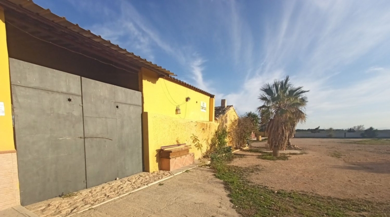 Murcia - Torre-Pacheco - 5667m2