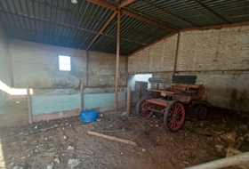 Foto 16