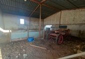 Rural estate for sale in Torre-Pacheco ref: TR281199 photo