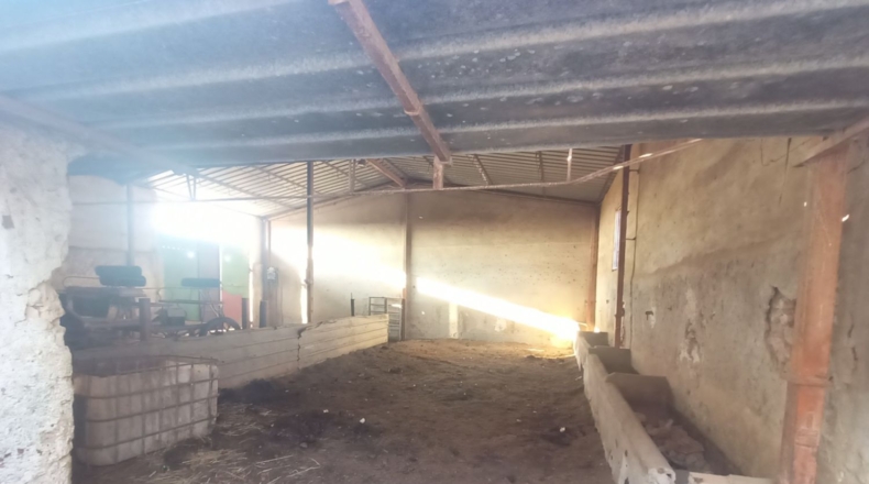 Murcia - Torre-Pacheco - 5667m2