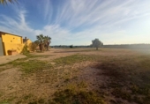 Rural estate for sale in Torre-Pacheco ref: TR281199 photo