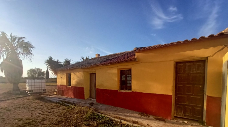 Murcia - Torre-Pacheco - 5667m2