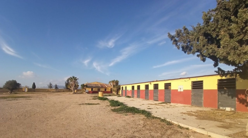 Murcia - Torre-Pacheco - 5667m2