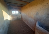 Rural estate for sale in Torre-Pacheco ref: TR281199 photo