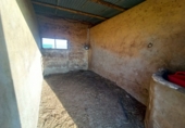 Rural estate for sale in Torre-Pacheco ref: TR281199 photo