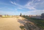 Rural estate for sale in Torre-Pacheco ref: TR281199 photo