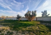 Rural estate for sale in Torre-Pacheco ref: TR281199 photo