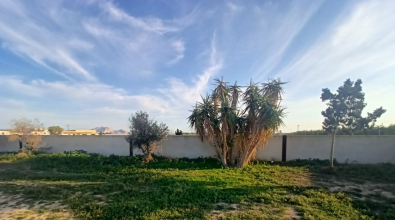 Murcia - Torre-Pacheco - 5667m2