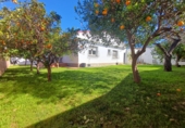 Xalet independent amb terreny en venda a San Javier ref.: TR381929 foto