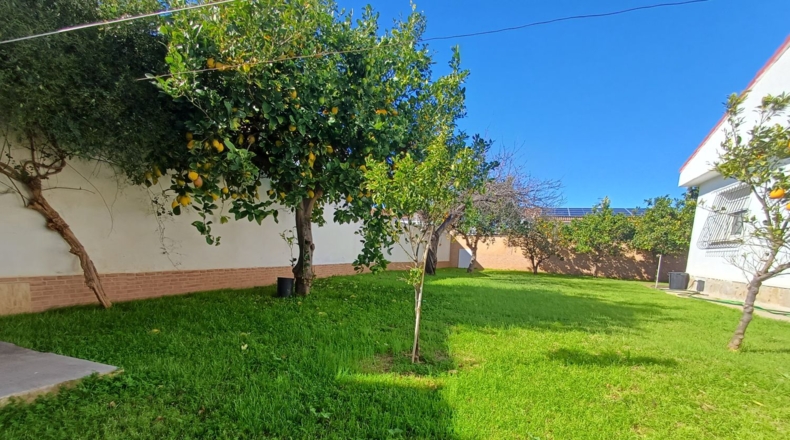 Múrcia - San Javier - 509m2