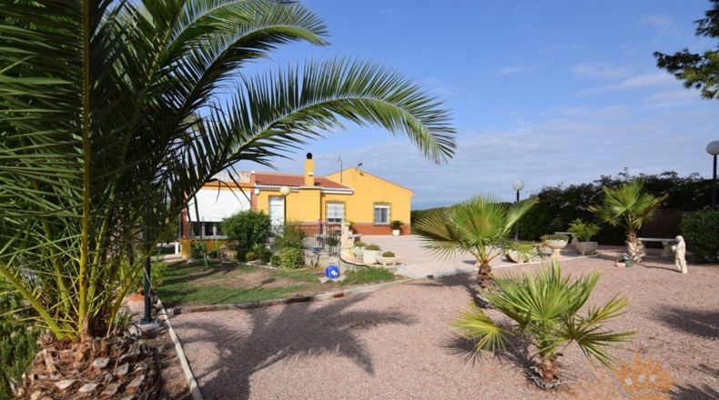 Murcia - Molina de Segura - 3020m2