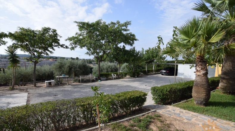 Murcia - Molina de Segura - 3020m2