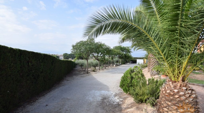 Murcia - Molina de Segura - 3020m2