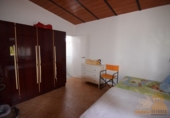 Chalet independiente con terreno en venta en Molina de Segura ref: TR27638 foto
