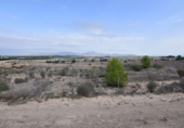 Chalet independiente con terreno en venta en Molina de Segura ref: TR27638 foto