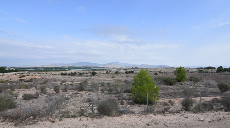 Murcia - Molina de Segura - 3020m2
