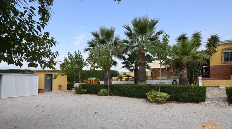 Murcia - Molina de Segura - 3020m2