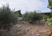 Chalet independiente con terreno en venta en Molina de Segura ref: TR27638 foto