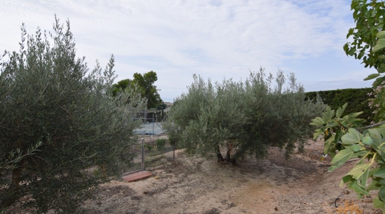 Murcia - Molina de Segura - 3020m2