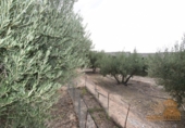 Chalet independiente con terreno en venta en Molina de Segura ref: TR27638 foto