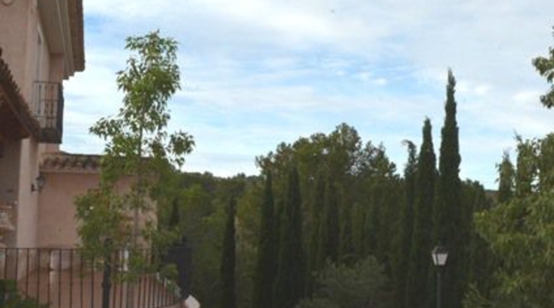 Murcia - Molina de Segura - 2500m2