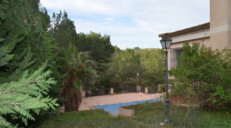 Murcia - Molina de Segura - 2500m2