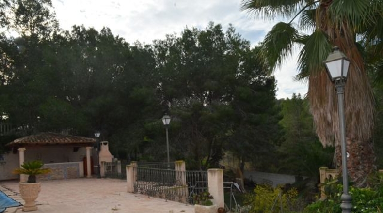 Murcia - Molina de Segura - 2500m2