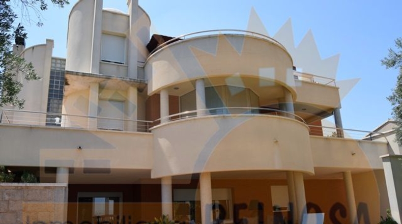 Murcia - Molina de Segura - 1700m2