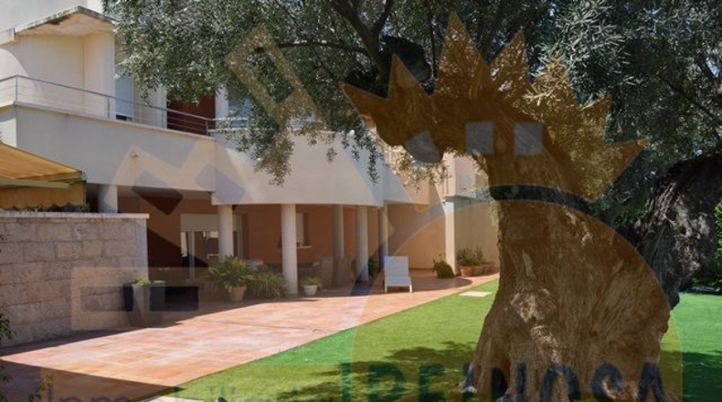 Murcia - Molina de Segura - 1700m2