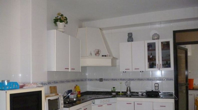 Murcia - Molina de Segura - 4000m2