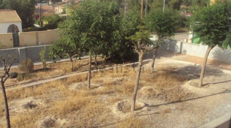Murcia - Molina de Segura - 1200m2