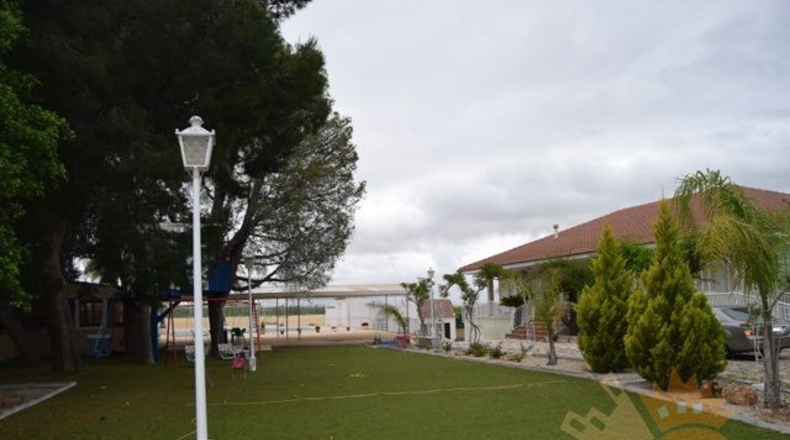 Murcia - Molina de Segura - 5000m2