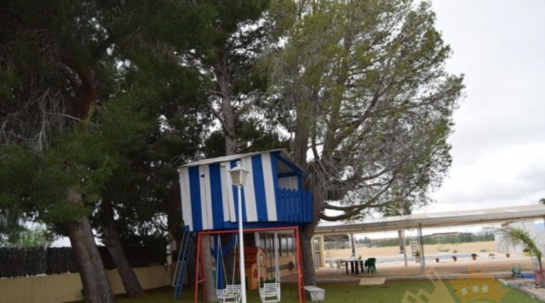 Murcia - Molina de Segura - 5000m2