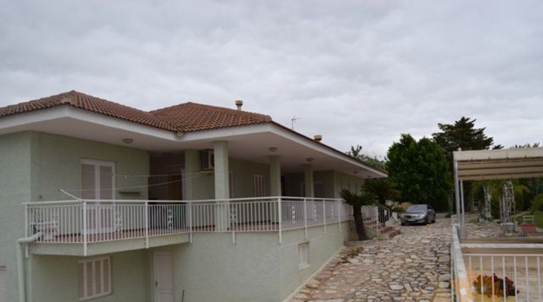 Murcia - Molina de Segura - 5000m2