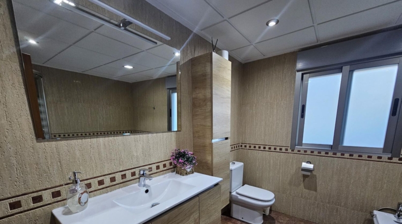 Murcia - Molina de Segura - 1100m2
