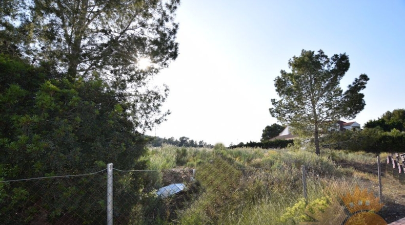 Murcia - Molina de Segura - 2000m2