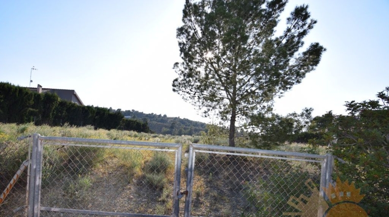 Murcia - Molina de Segura - 2000m2