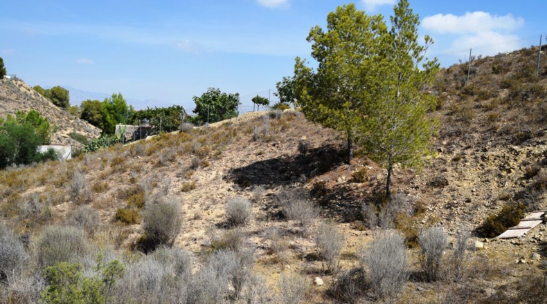 Murcia - Molina de Segura - 1063m2