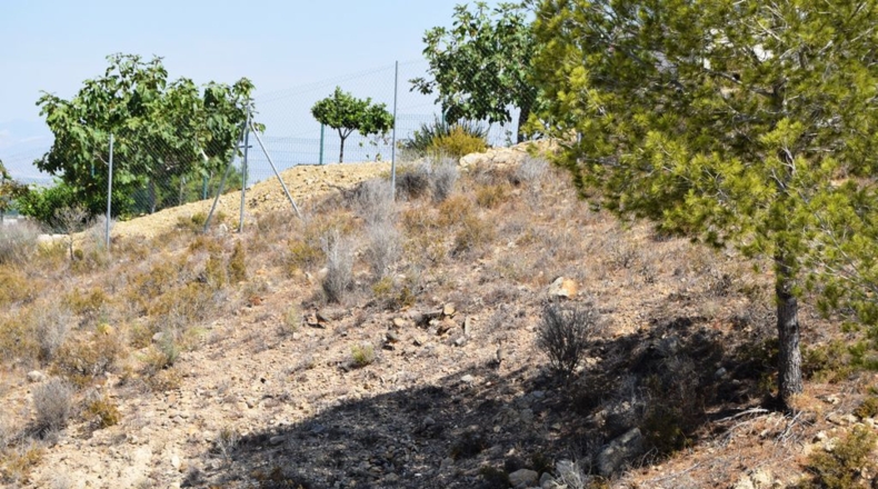 Murcia - Molina de Segura - 1063m2