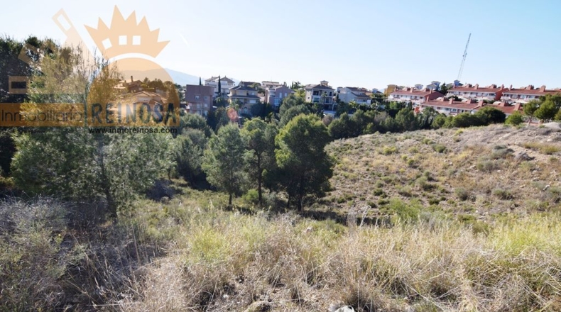 Murcia - Molina de Segura - 1800m2