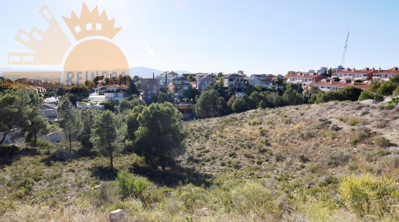 Murcia - Molina de Segura - 1800m2