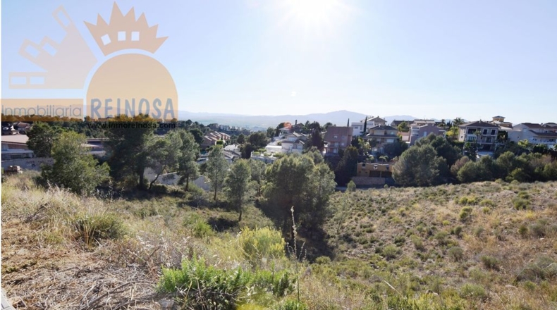 Murcia - Molina de Segura - 1800m2